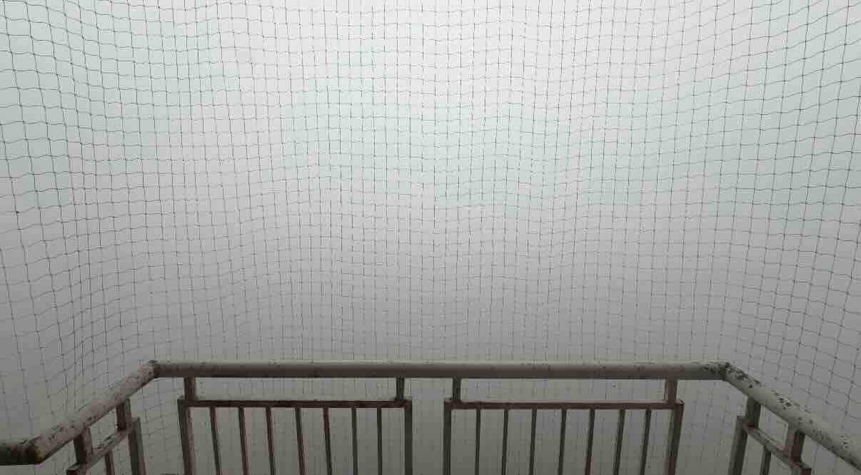 Visibility Zero: Air pollution spikes in India's National Capital Region